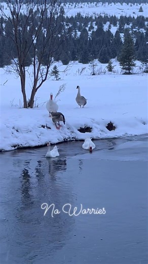 Keep going, everything works out in the end. | The Ice Farm