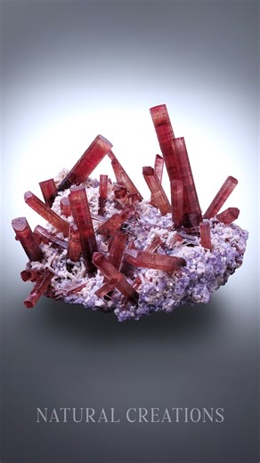 William Johnson on Instagram: "Red tourmaline — also known as rubellite — is one of the rarest tourmaline colors to form on matrix. ✨ In all my years of collecting, I’ve only had about five pieces of this style cross my hands. There’s something about red that always commands attention and value — just like the legendary rhodochrosites that have fueled the high-end mineral world for over a decade. 🔥 This specimen is truly special: the sharp, pointy terminations fade from a soft peach into a vivi