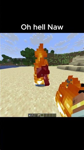 what the hell? moment