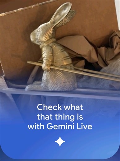 Wait, what’s that? 🤔 Watch how you can simply point, talk, and identify that weird gift from your aunt in real-time with Gemini Live.