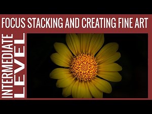 Focus Stacking and creating fine art image of a flower