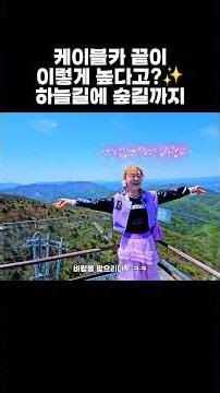 평창 가볼만한곳 발왕산 케이블카 스카이워크 천년주목숲길 코스