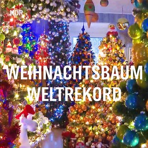 Was für ein Weltrekord: 420 Weihnachtsbäume, 65.000 Kugeln - alles in einem Haus… 🎄🎄🎄🎄🎄🎄 | NDR.de