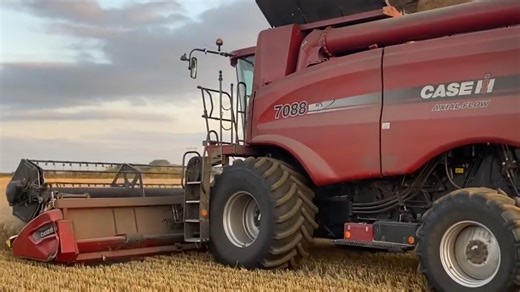 Challenges during the end of harvest season