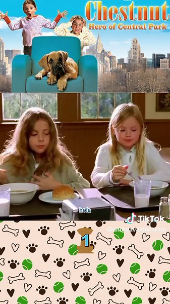 Chestnut 🐕#chestnut #perros @lady Di👸🏼