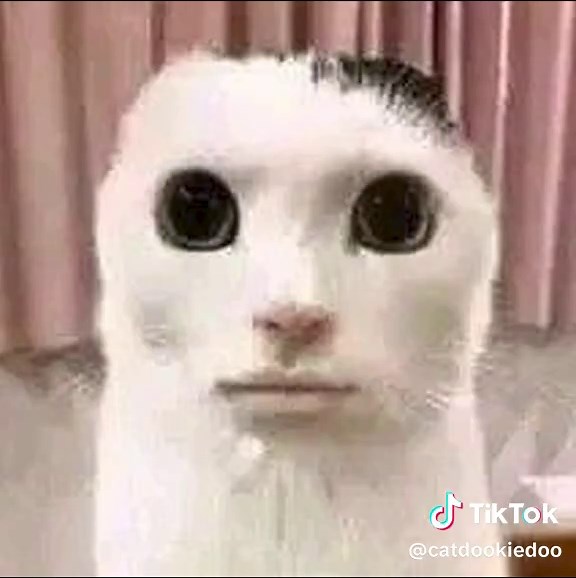 Play Your Favorite Game: A Satirical Take on Gaming