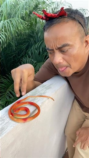 Screaming snake #frog #memes #funny #shorts