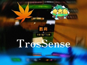 使用美丽的EC PRO CLIENT测试反作弊在Heypixel