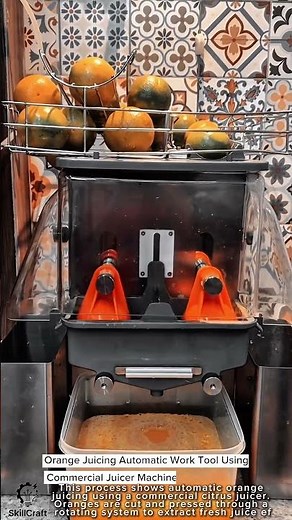 Orange Juicing Automatic Work Tool Using Commercial Juicer Machine #worktool