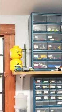 LEGO Island sets (and collection speedrun!) #lego #sorting #tour #tutorial