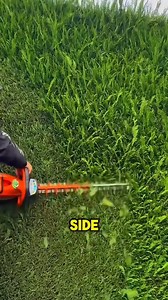 HOA Flooded My Workshop – So I Turned Their Golf Course Into Swamp #story #storytime #lawncare | Earth Trim Gardens