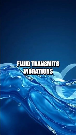 Echo Waves in a Cornstarch Ocean