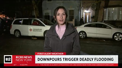 A man in Brooklyn died in his flooded basement after friends say he tried saving his dog during Thursday’s storm. @CBSNewYork @CBSNews | Ali Bauman