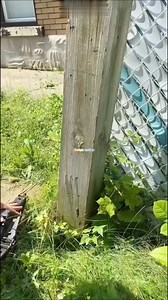 Uprooting pole from scratch… #fypシ゚viralシfypシ゚ #reelsviralシ2025 #reelsviralシ #reelsfbシfyp #reelsfbシ #reelsfypシ #fypシ゚ #foryouシ | Abutex Nation