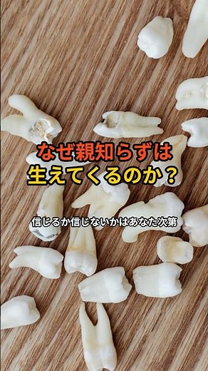 なぜ親知らずは生えてくるのか？#ショート#なぜ#親知らず#生える#雑学