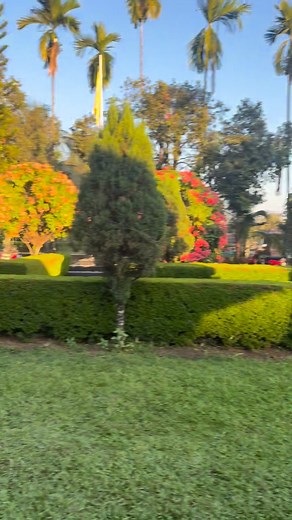 51 reactions | #BBCAcompound | Risila Basumatary | Facebook