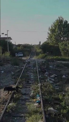 Rrogozhinë → Durrës | Albania Train Cab Ride Highlights #train #cabride