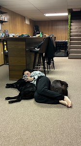 *googles* “how fast do lab puppies grow” and “how much should my lab puppy weigh at 1 year” I cannot believe he stands taller than Maria and weighs more than her already | Maria the Lab