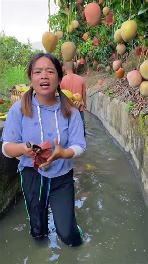 Let's eat mangoes together