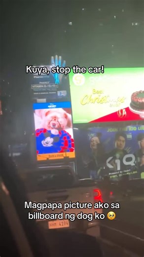 Mavey Wavey on Instagram: "Kuya, Stop the car! Bawal nganilli sa EDSA hahaha #billboardmodel #model #dogmodel #edsa #dogmodel"