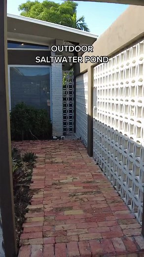 8.4K views · 252 reactions | An OUTDOOR saltwater pond? Julian Sprung of Two Little Fishies has one in his garden! 朗 Want to find out more about this setup? Check out our YouTube channel! #Fishtok #Pond #Corals #Fish #Aquarium #Foryou #Poloreef #Fishes #Coral #Reeftank | Polo Reef by Andrew Sandler | Facebook