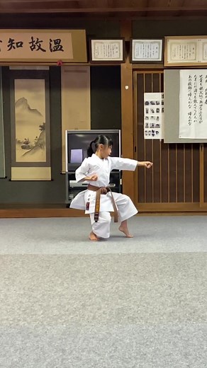 Heian Shodan Kata in Shito Ryu Karate