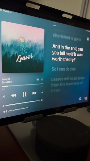 Leaves by Ben & Ben: Song Meaning & Lyrics Explained