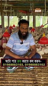 ব্রয়লার মুরগির খামার ! #chicken #poultry #agriculture #farming #broilers | Shokher Khamar Agro Project