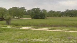 SRS Best Retrievers Club Event Series 1 Hunt Test!! | Super Retriever Series