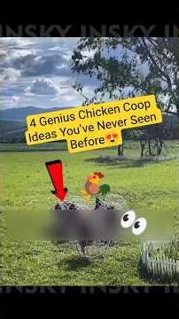 4 Genius Chicken Coop Ideas You’ve Never Seen Before