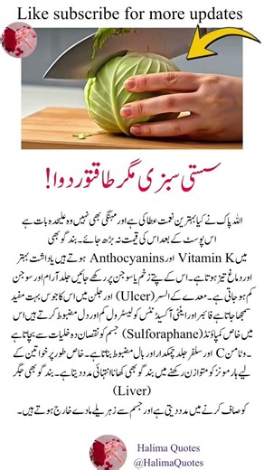 Life-Changing Quotes to Inspire Success, Positivity & Mindset in Just Seconds ✨💥