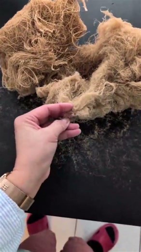 Das klingt NICHT echt… 😳 Getrocknete Wurzeln (ASMR)