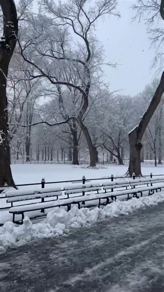 It's snowing in New York: walk with me through Central Park #newyork | New York - NewYork.co.uk