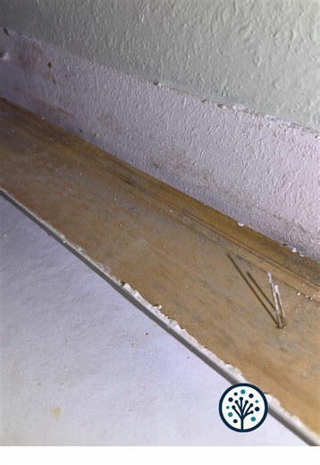 🚽 Small toilet leak… BIG mold problem. Hidden moisture behind baseboards and drywall can lead to mold growth, musty odors, and even health symptoms. If you’ve been feeling sick, smelling something off, or noticed water damage — don’t ignore it. Mold often grows where you can’t see it. 📍 Central Florida 🔬 Licensed Mold Assessor & Microbiologist 📞 (321) 324-7756 www.purespecenvironmental.com PureSpec Environmental | Science-based mold inspections