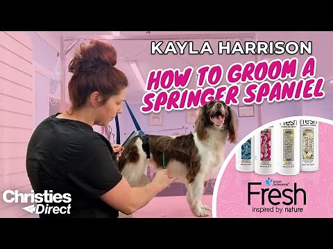 Kayla Harrison: How to Groom a Springer Spaniel