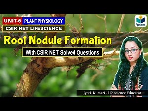 ROOT NODULE FORMATION AND BIOCHEMISTRY OF NOD GENES ||CSIR NET||PLANT BIOLOGY