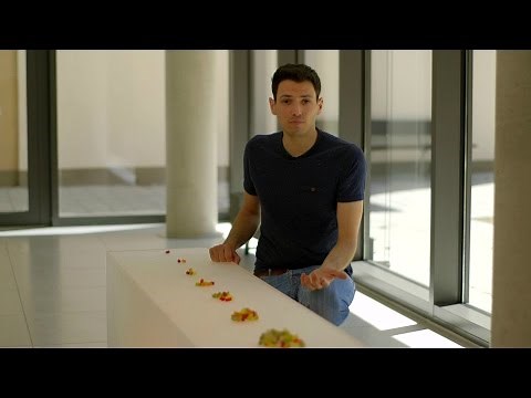 Exponentialfunktionen aufstellen: Wachstum und Zerfall berechnen | alpha Lernen erklärt Mathe