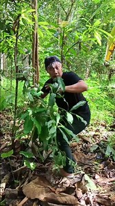 #funny #comedy #ngakak #kimjava #lucu #shorts