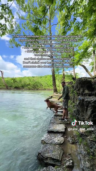 Understanding Great Pyrenees Aggression in Dogs