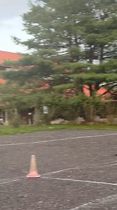 12K views · 256 reactions | HƯƠU NAI Ở MỸ <3 | Nguyễn Phùng Phong | Facebook