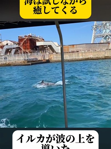 【出航映像】辛坊治郎ヨット太平洋横断の旅 初日出航の様子～辛坊の旅～ #2 #地震 #津波警報 #災害 #日本 #食事記録 #おすすめ #fyp #TikTokJapan #foruyou #viral