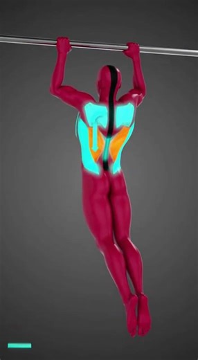 Your Legs Are Messing Up Your Pull-Up! ❌ Fix Body Line