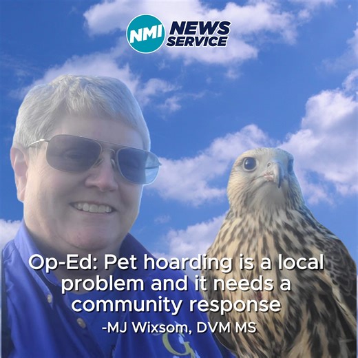 Pet hoarding isn’t something that only happens “somewhere else.” In this op-ed, the author describes what hoarding cases look like on the ground in the CNMI — the medical and financial toll on rescuers and clinics, and why prevention, support, and early intervention matter. If you can help, consider volunteering, fostering, donating, or checking in on someone who may be overwhelmed. Full story https://www.nminewsservice.com/op-ed-pet-hoarding-saipan-community-response/ | NMI News Service