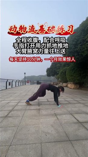 Master Animal Flow: Repeat Simple Movements for Flat Abs