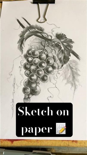 Realistic Grapes on Pape #Sketching #PencilArt #DrawingShorts #ArtReels #GrapesDrawing #art #Shorts