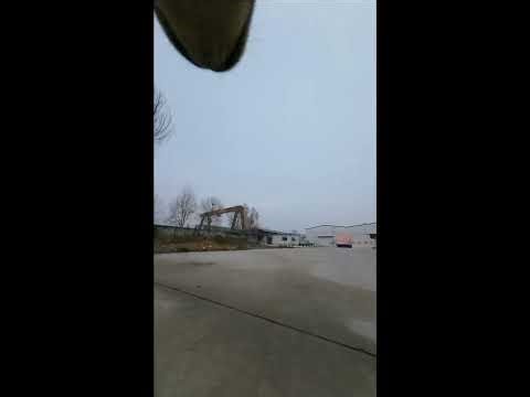 Chasing Leaves and Shadows 🍃 Dog POV Live