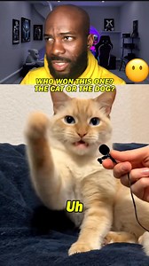 408K views · 10K reactions | AI Cat and Dog rap battle #streamer #funnycomedy #reaction #animal #newyork | NeverSpoke | Facebook