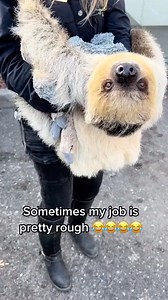 my love sloth | I Love Sloth