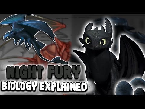 Night Fury EXPLAINED 🔥 | Secrets of How to Train Your Dragon’s Extinct Dragon
