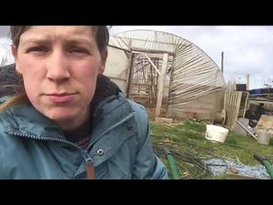 Propagating hazel trees